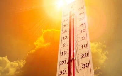 Canicule et santé au travail dans les services publics