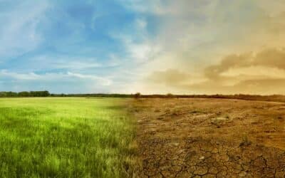 Gestion et paie des agents MASA exerçant des fonctions relevant du ministère de l’écologie