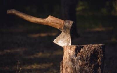 Taux de promotion 2026 : le coup de massue de l’administration