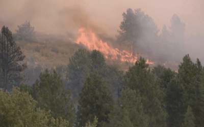 Incendies : solidarités avec les victimes, protection des personnels, et urgence climatique