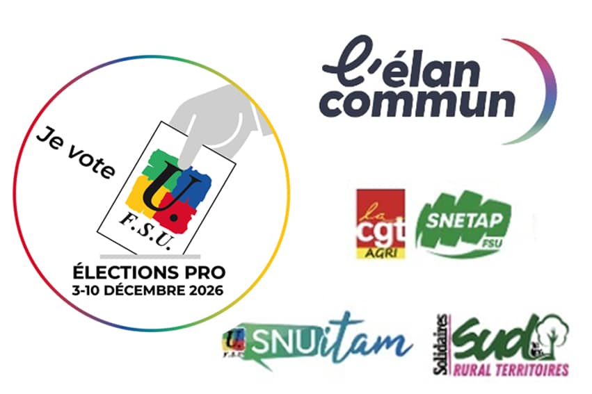 Élections professionnelles 2026 – S’engager aux côtés du SNUITAM-FSU avec l’Élan Commun